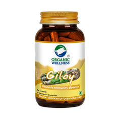 Organic Wellness Giloy Capsules, Natural Giloy, Antioxidant Properties, Purifies Blood Supplement, Immunity Booster, Health & Wellness | 90 Veg Capsules 150gm 0.3lbs