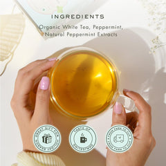 Makaibari Holiday Edition - Peppermint Bark Loose Leaf White Tea - 25gm Tin Caddy, 0.9 Ounce | USDA Certified Premium Tea - Low Caffeine White Tea | Anti-Oxidants, Immunity Booster