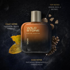 Wild Stone Cigar Eau De Perfume For Men 100ml 3.4 Fl.oz.| Long Lasting Fragrance
