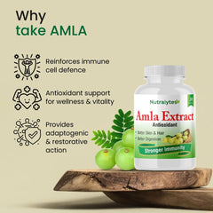 Nutralytes Amla Capsule With Pure Natural Extracts Of Bhumi Amla 500mg | 60 Vegetarian Capsules, 100gm 0.2lbs