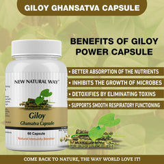 New Natural Way Giloy Ghansatva 1000mg Ayurvedic Supplement For Immunity & Energy Booster, Rich In Antioxidants | 60 Capsules 100gm 0.2lbs