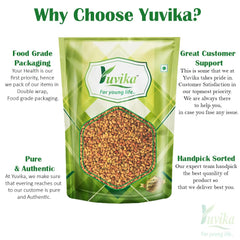 Yuvika Alfa Seeds, No Artificial Colors, 100% Organic | 100gm 0.2lbs