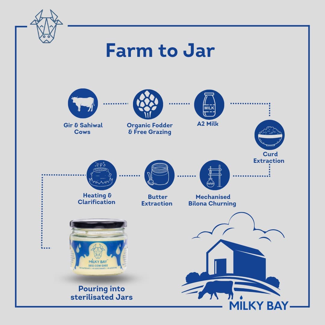 Organic Desi Cow Ghee By Milky Bay | Naturally Rich Taste & Aroma Desi Pure Cow Ghee Perfect For Laddus | (500ml) 16.9 Ounce | Jar Pack