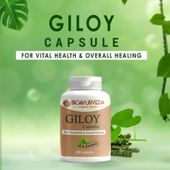 Bioayurveda Giloy Capsule Strengthens Immunity Wellness, Guduchi, Help In Boosting Immunity & Helps Enhancing Overall Immune Function | 60 Capsules 100gm 0.2lbs