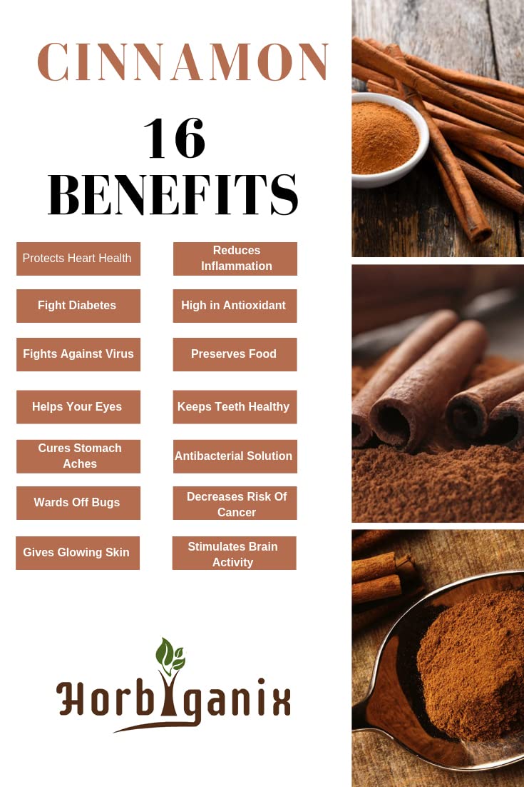 Horbiganix Cinnamon Powder For Weight Loss Dalchini Powder, Immunity Boosters, For Men & Women, Pure & Natural | 200gm 0.4lbs