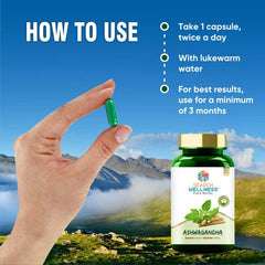 Search Wellness Ashwagandha For Stress Relief Anti - Inflammation Ayurvedic Medicines Enhances Energy Levels, Immunity Booster For Adults | 60 Capsules 100gm 0.2lbs Each Pack Of 4