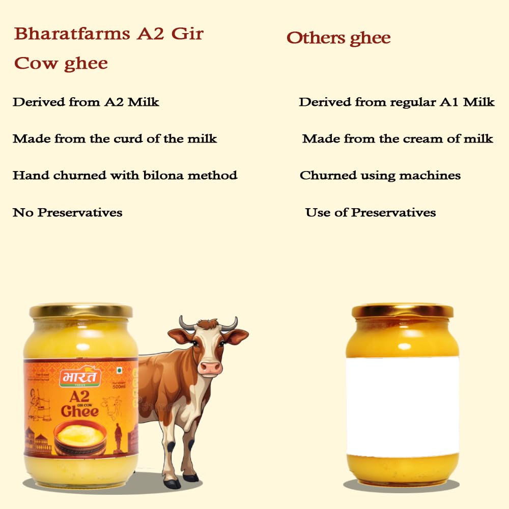 Pure Natural A2 Gir Cow Ghee By Bharatfarms | Traditional Curd Churned Vedic Bilona Method Danedar Ghee For Heart Health | (500ml) 16.9 Ounce | Jar Pack
