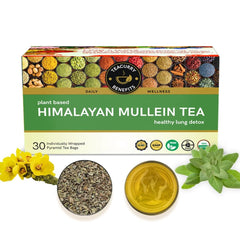 Teacurry Plant Based Himalayan Mullein Tea - 30 Individually Wrapped Pyramid Teabags | Herbal Tea For Lung Detox & Immunity - Full Of Antioxidants