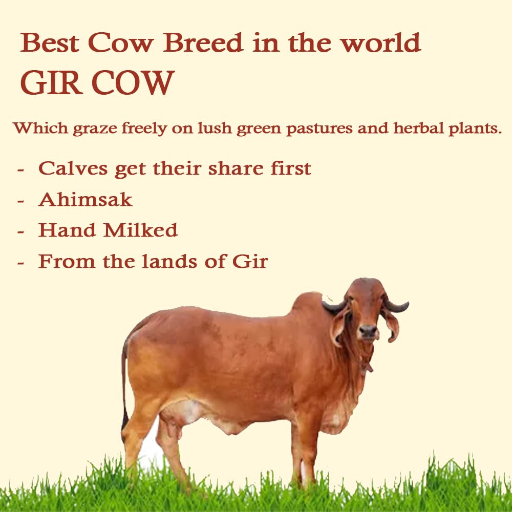 Pure Natural A2 Gir Cow Ghee By Bharatfarms | Traditional Curd Churned Vedic Bilona Method Danedar Ghee For Overall Health | (250ml) 8.4 Ounce | Jar Pack