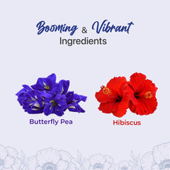 Blue Tea Combo Pack Of 2 - Butterfly Pea Flower Tea 50gm, 1.7 Ounce + Hibiscus Flower Tea 100gm, 3.5 Ounce | Antioxidant Rich - Caffeine Free, Gluten Free, Non GMO | Pet Jar Packaging