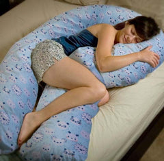 U Shaped Pregnancy Pillow, Maternity Pillow, 100% Cotton Cover, Sky-Blue, Koala | Super Premium Pillow, Versatile Use, Pregnocare Microfibers, Breathable, Comfortable Pillow, Body Pillows