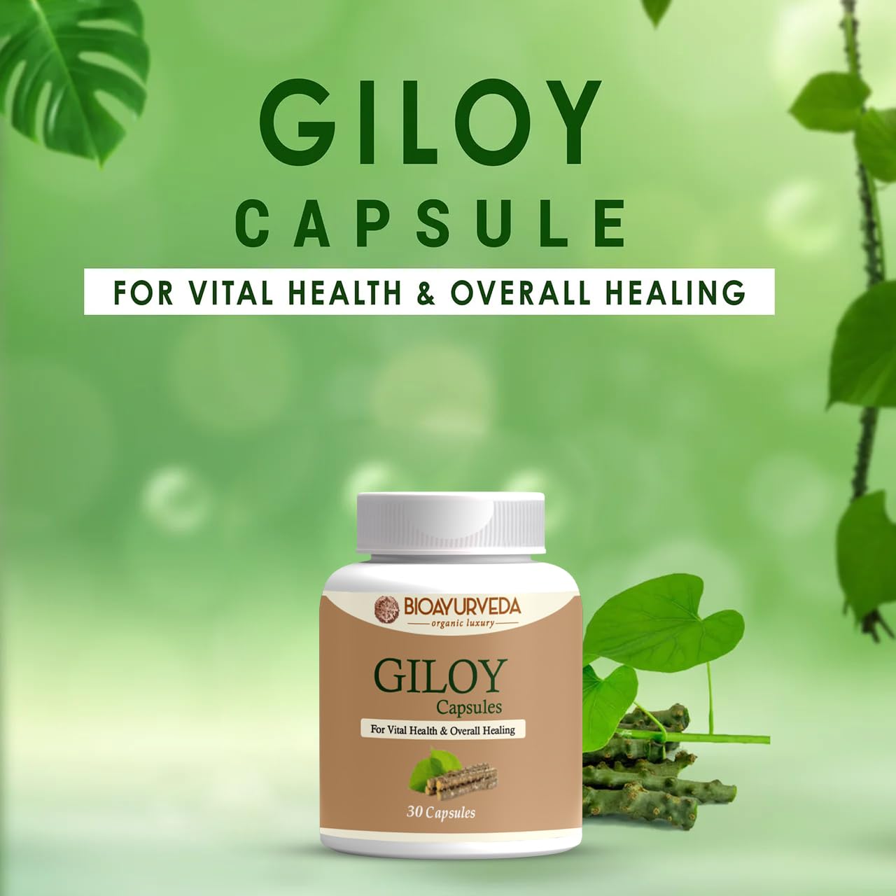 Bioayurveda Giloy Capsule Strengthens Immunity Wellness, Guduchi, Help In Boosting Immunity & Helps Enhancing Overall Immune Function | 30 Capsules 50gm 0.1lbs