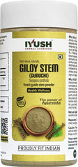 Iyush Herbal Ayurveda Giloy Powder, For Immunity Booster & Healthy Metabolism, 100% Forest Variety Herbs, 100 Organic, 100% Pure, Natural | 100gm 0.2lbs