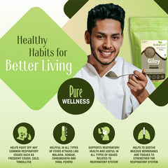 Herbal Spirit Giloy Powder Organic, Guduchi Powder, Telagapindi Powder, Giloy Churna Powder, Giloy Stem Or Giloy Stick, Tippateega Powder Organic | 250gm 0.5lbs
