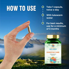 Search Wellness Digestive Care Natural & Herbal Capsules For Better Digestive Function & Healthy Gut, Healthy Digestion & Boost Immunity | 60 Capsules, 100gm 0.2lbs Each Pack Of 3