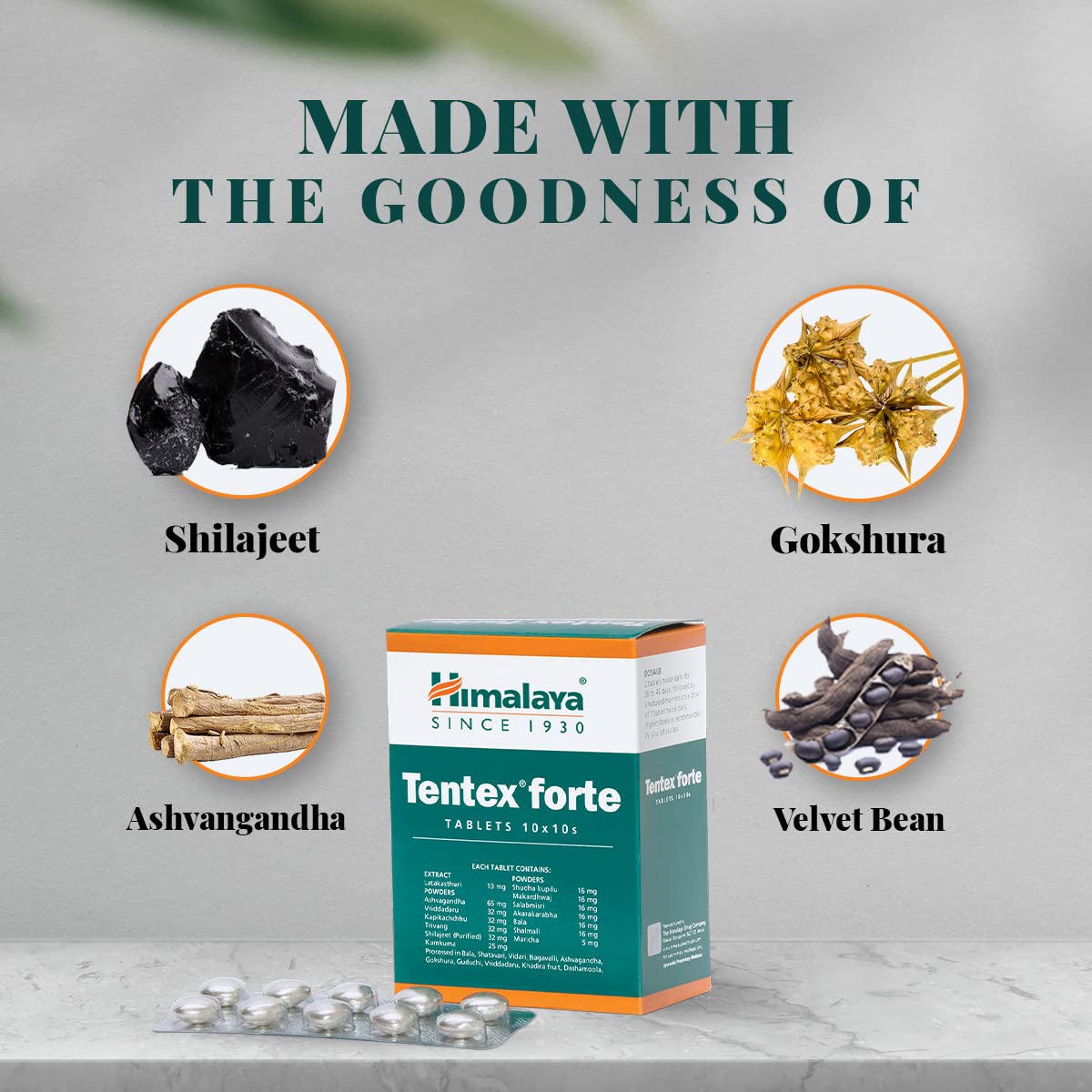 Himalaya Wellness Tentex Forte, Increases Desire, Libido Enhancer | Power Of Ashvagandha & Shilajeet | Strip Of 10 Tabs *10