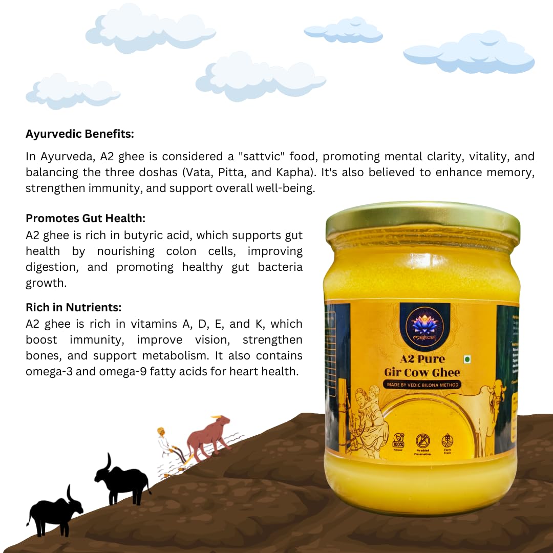 Organic A2 Gir Cow Desi Ghee By Maishwari | Vedic Bilona Method, Curd-Churned Grassfed Desi Gir Cow Ghee Good For Boost Immunity | (500ml) 16.9 Ounce | Jar Pack