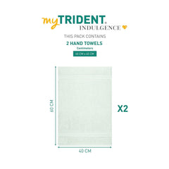 Mytrident Indulgence Collection Hand Towel 400 Gsm | 100% Cotton For Men & Women Hand Towel - Fair Jade (Pack Of 2)