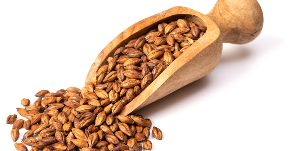 San-Cha Toasted Barley Herbal Tea - 25 Biodegradable Herbal Tea Bags | Natural Anti Inflammatory Detox Tea - 100% Natural & Zero Caffeine