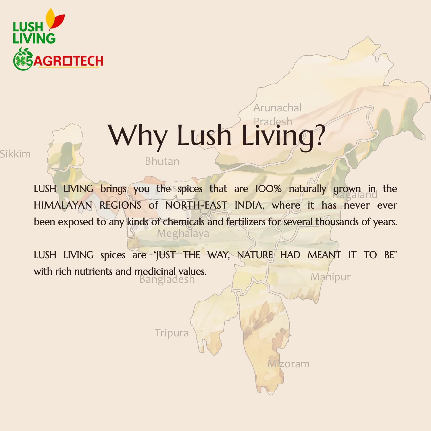 100% Natural A2 Cow Ghee By Lush Living | Rich In Protein Fiber & Delicious Healthy Desi Cow Ghee For Overall Health | 1 Litre (500ml * 2) 33.8 Ounce | Jar Pack
