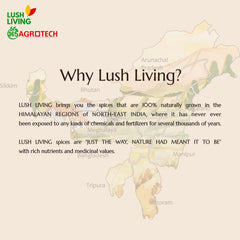 100% Natural A2 Cow Ghee By Lush Living | Rich In Protein Fiber & Delicious Healthy Desi Cow Ghee For Overall Health | 1 Litre (500ml * 2) 33.8 Ounce | Jar Pack