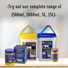 Pure A2 Desi Cow Ghee By Kalapurna Ghee | Delicious & Nutritious Healthy Desi Cow Ghee For Frying | (1 Litr) 33.8 Ounce | Jar Pack