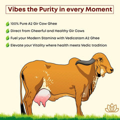 Natural A2 Gir Cow Desi Ghee By Vedicatam | Traditional Bilona Method Curd- Churned Healthy Pure Desi Ghee | (1 Litre) 33.8 Ounce | Jar Pack