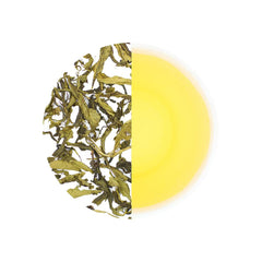 Dorje Teas First Flush Darjeeling Green Tea - 100gm, 3.5 Ounce, 40 Cups | Sweet & Flowery Flavor Mellow Gold Tea - Pure Darjeeling Spring Tea | Caffeine Free