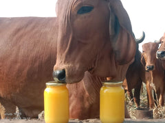 100% Natural Bilona Gir A2 Desi Ghee By First Bud Organics | Good Source Of Vitamin & Minerals Healthy Pure Desi Ghee Perfect For Digestive Health | (100ml) 3.3 Ounce | Jar Pack
