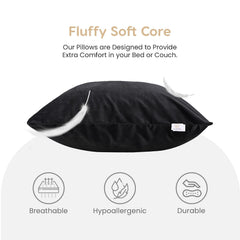Microfiber Square Soft Pillow Cushion For Sofa & Bed, Black - 16 X 16 Inch | Fluffy For Comfort & Back Support | Breathable, Washable | Premium Velvet Outer Cover With Zip - Pack Of 5