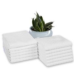Divine Overseas Cotton Terry Dish Clothes 1200 Gsm | Soft & High Absorbent (White) - Pack Of 12