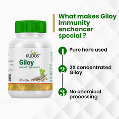 Kudos Giloy Tablets, Improves Immunity Enhances The Activity Of White Blood Cells | 60 Tablets 100gm 0.2lbs