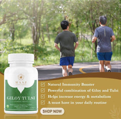 Raaj Ayurvedic Pharmacy Giloy Tulsi Tablets Natural Immunity Booster Ayurved Supplement Enhances Strength & Stamina, Natural Immunity Booster, Purifies Blood | 60 Tablets 100gm Each Pack Of 3