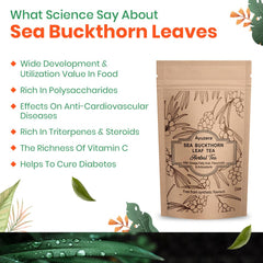 Ayuzera Sea Buckthorn Herbal Leaf Tea - 100gm, 3.5 Ounce | Good For Skin & Immunity, Improves Metabolism - Rich In Antioxidants, Caffeine Free