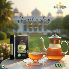 Goodricke Castleton Vintage Darjeeling Tea - 250gm Tin, 8.8 Ounce | Premium Flavored Black Tea With Long Lasting Taste - Single Estate Whole Leaf Tea | 100% Pure & Original Loose Leaves Chai