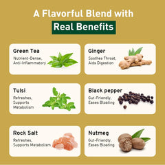 Handpick Vedic Detox Kahwa Green Tea With Rich Spice & Rocksalt - 100 Tea Bags | Blend Of 10 Real Ayurvedic Herbs - Tulsi, Ginger, Black Pepper, Clove, Nutmeg & Rock Salt | Medium Caffeine