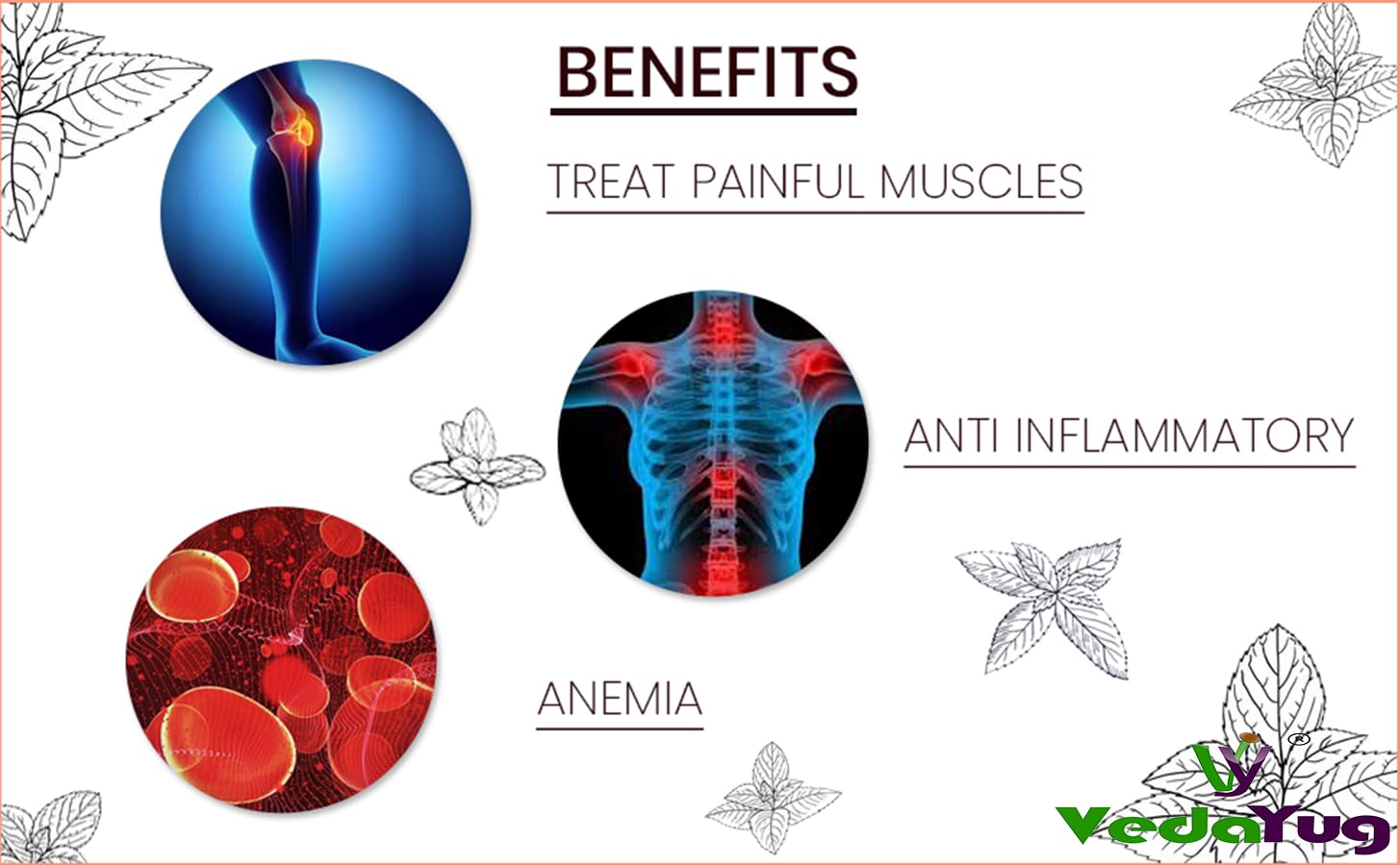 VedaYug Nettle Leaf Tea - 100gm, 3.5 Ounce | Treats Painful Muscles, Rich Aroma & Flavor - No Preservatives, No Additives