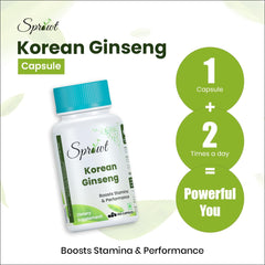 Sprowt Korean Red Ginseng 1000mg Capsules For Men | Supports Brain Function, Boosts Immunity, Energy & Focus | 100 Capsules 150gm 0.3lbs Each Pack Of 3