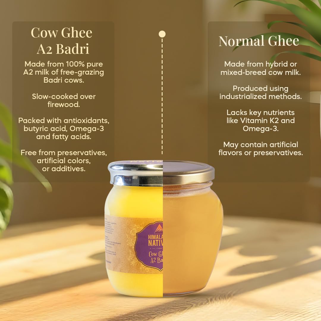 Natural A2 Badri Cow Ghee By Himalayan Natives | Highly Nutritious Helps Keep Your Boost Immunity & Eye Health Desi Cow Ghee | (500ml) 16.9 Ounce | Jar Pack