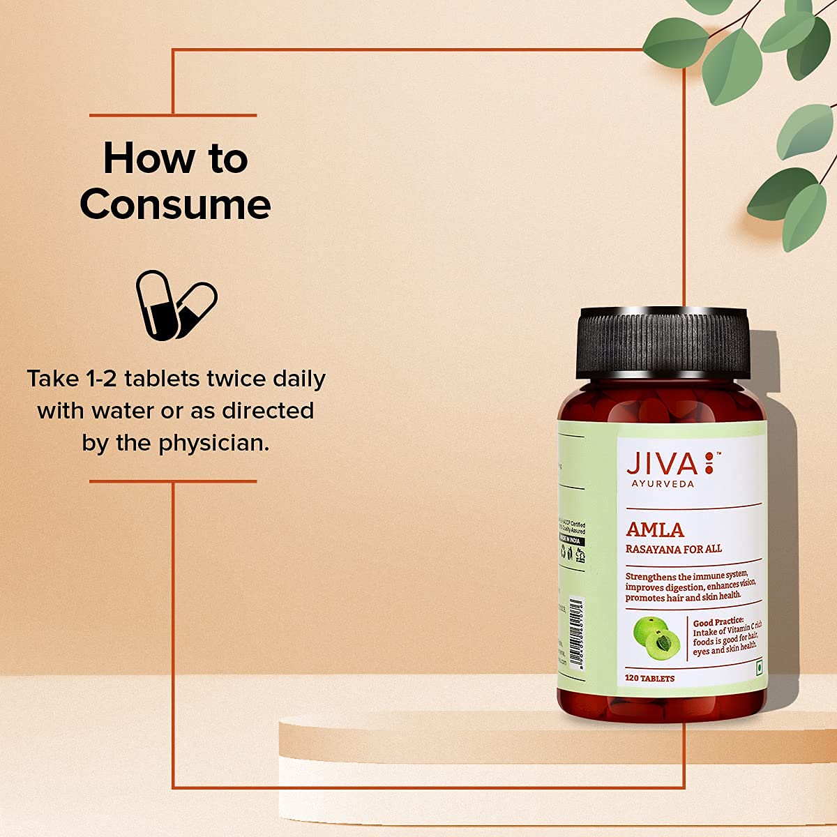 Jiva Amla Tablets 500mg 100% Pure Herbs Used, Rich In Vitamin C, Protects Against Free Radicals | Rich In Antioxidants, Improves Digestion, Enhances Vision | 120 Tablet 200gm Each Pack Of 2
