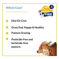 Pure Mukhia A2 Desi Cow Ghee By Amrutam | High In Protein Fiber Healthy & Nutrients Pure Desi Ghee Good For Deep Frying | (1 Litre) 33.8 Ounce | Jar Pack