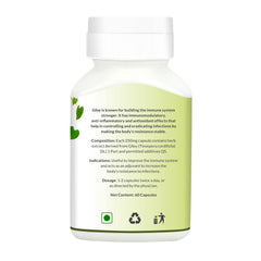 Pravek Giloy, Natural Immunity Aid Extract, Antioxidant Properties, Immunity Booster, Improves Overall Health & Well - Being | 60 Capsules 100gm 0.2lbs