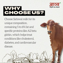 100% Pure A2 Desi Cow Ghee By Aavya | Rich In Nutrients & Strong Aroma Pure Pahadi Desi Ghee Good For Glowing Skin | (500ml) 16.9 Ounce | Jar Pack