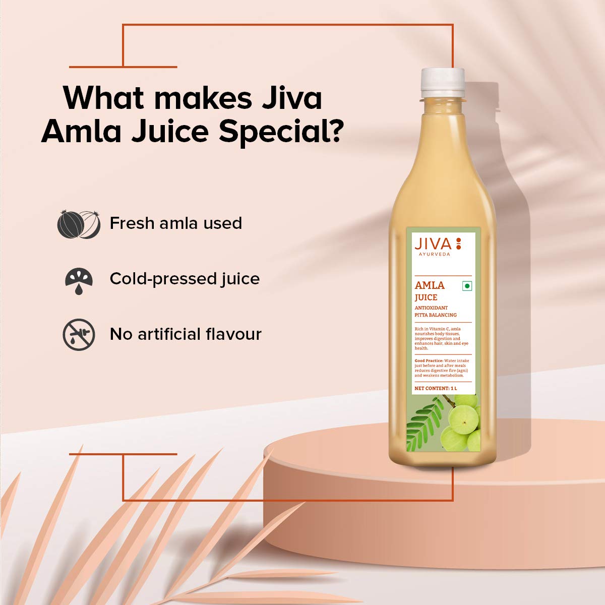 Jiva Amla Juice 100% Pure & Natural Helpful In Digestion, Enhance Skin, Hair & Eye | 1 Litre 2.2lbs Each Pack Of 2