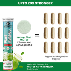Naturyz Highest Strength 100% Plant Extracted Ksm - 66 Ashwagandha 600mg, Vitamin D3, Muscle Recovery, Energy, Relieve Stress | 15 Effervescent Tablets Green Apple 50gm 0.1lbs