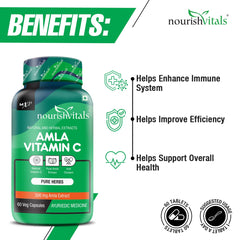 Nourishvitals Amla Vitamin C With Tannins 25% Pure Herbs, 500mg Amla Extract, Antioxidant, Immune, Skin | 60 Veg Capsules, 100gm 0.2lbs Each Pack Of 3