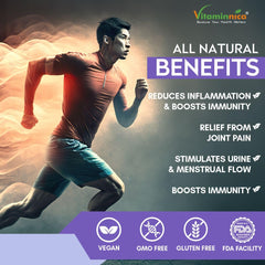 Vitaminnica Boswellia Serrata 2500mg 5:1 Extract, 2 Months Supply, 85% Standardised Boswellic Acid, Indian Frankincense, Anti - Inflammatory | 60 Vegan Capsules 100gm 0.2lbs