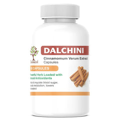 Sanmesh Ayurvedic Dalchini Capsules, 500mg Cinnamon Supplement For Healthy Blood Glucose Levels & Antioxidants | 60 Capsules 100gm 0.2lbs