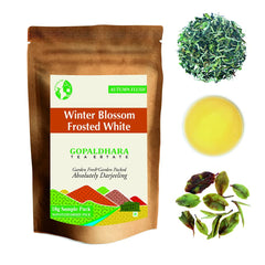 Gopaldhara Darjeeling Frosted Autumn Flush Tea Sample Pouches - Pack Of 5 Teas X 10gm, 0.35 Ounce Each | Autumn Flush Low Caffeine Loose Leaves