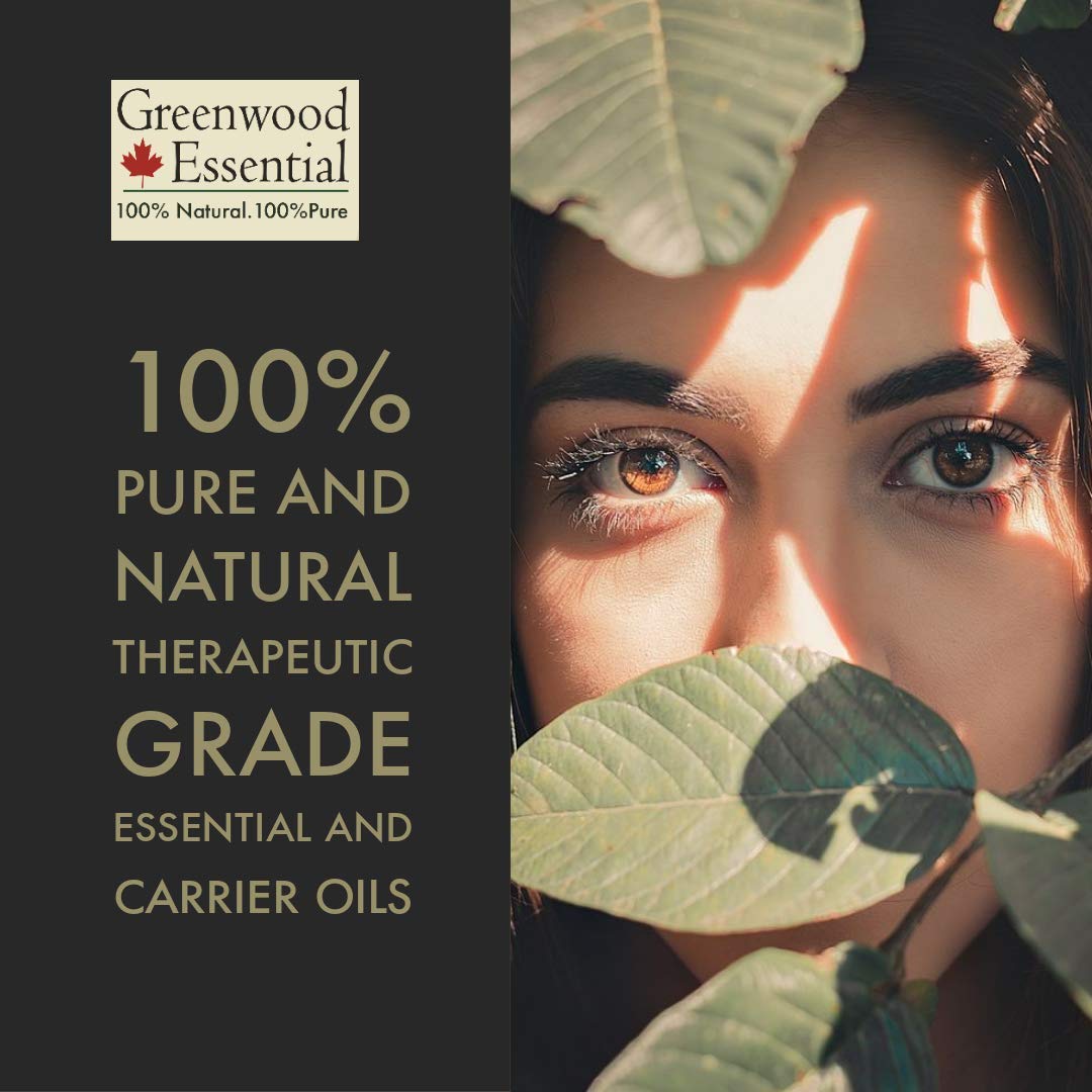 Greenwood Essential Pure Amla Powder (Indian Gooseberry) Emblica Officinalis Organic Certified 100% Natural Therapeutic Grade | 100gm 0.2lbs